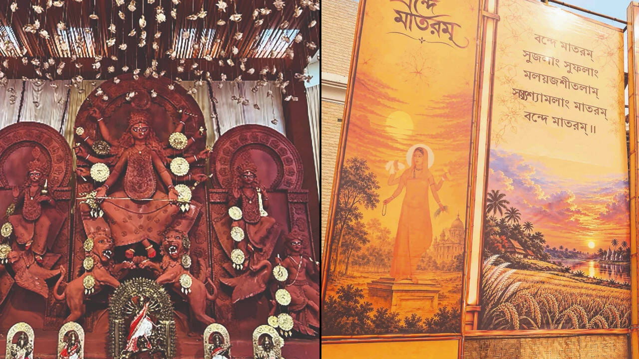 DLF City Durga Puja and Sushant Lok Durga Puja
