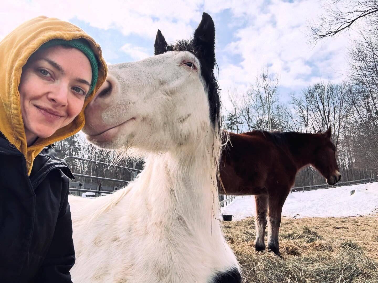 From Hollywood spotlight to rural calm, Amanda Seyfried finds comfort in her beautiful New York farm.