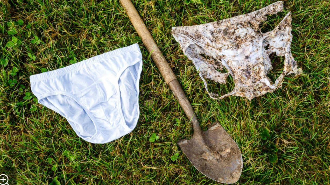 More than 2,000 underpants helped researchers measure soil health across Switzerland<br>
