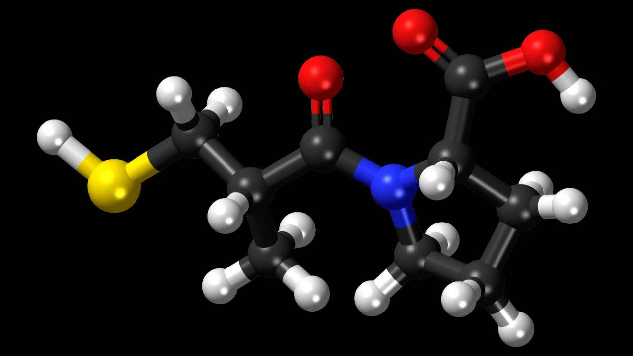 <br>In the 1960s, scientists studying the venom of a Brazilian pit viper found a compound that lowered blood pressure, and it led to captopril, one of the first widely used blood pressure pills, approved in the US in 1981