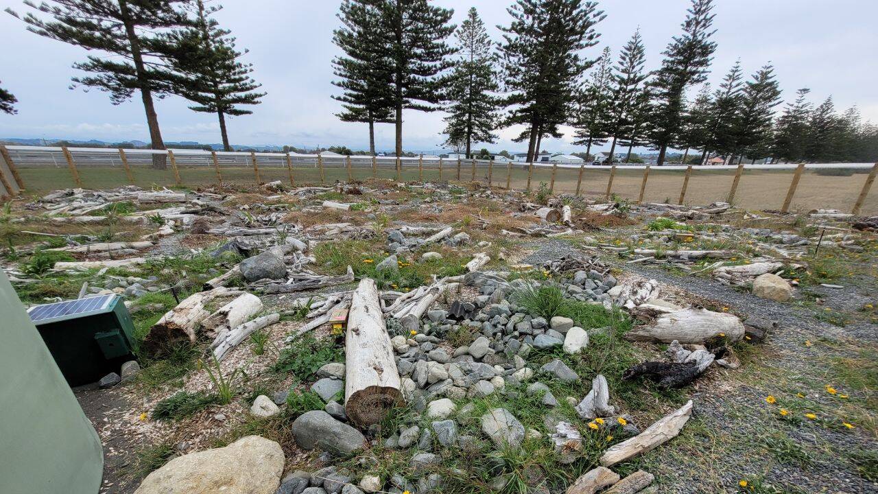 Nick Harker/New Zealand Herpetological Society How the new 676-square-metre sanctuary protects the skinks