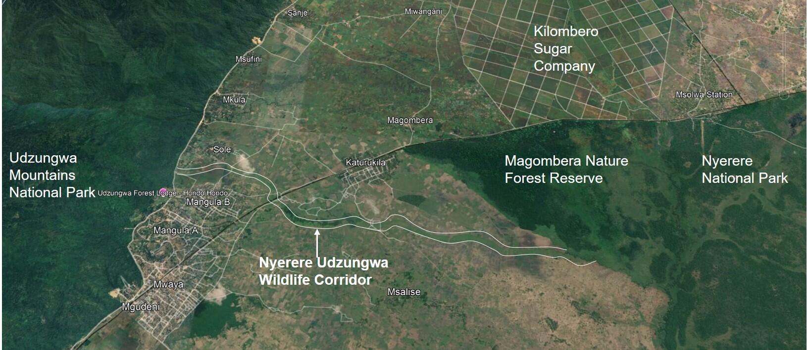 The protected corridor reconnects elephant habitats across Tanzania’s Kilombero Valley.<br>