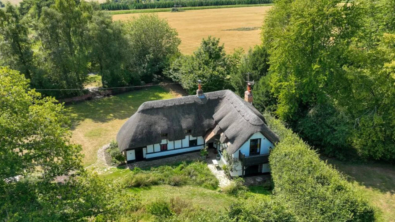 The aerial view