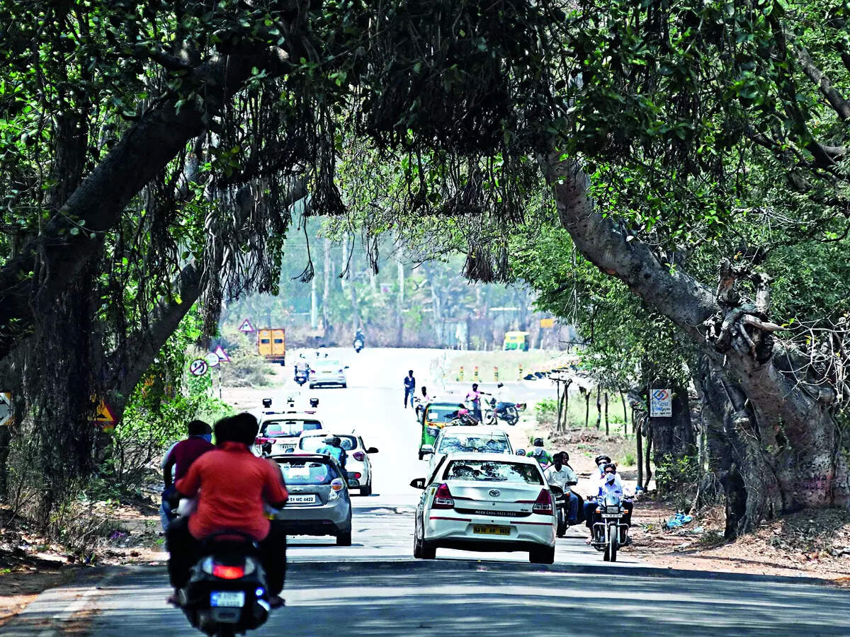 kanakapura road Property deals to suit all budgets on Kanakapura Road