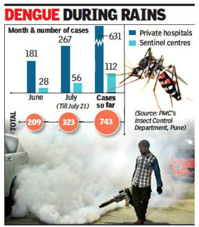 Dengue homework card 03 image