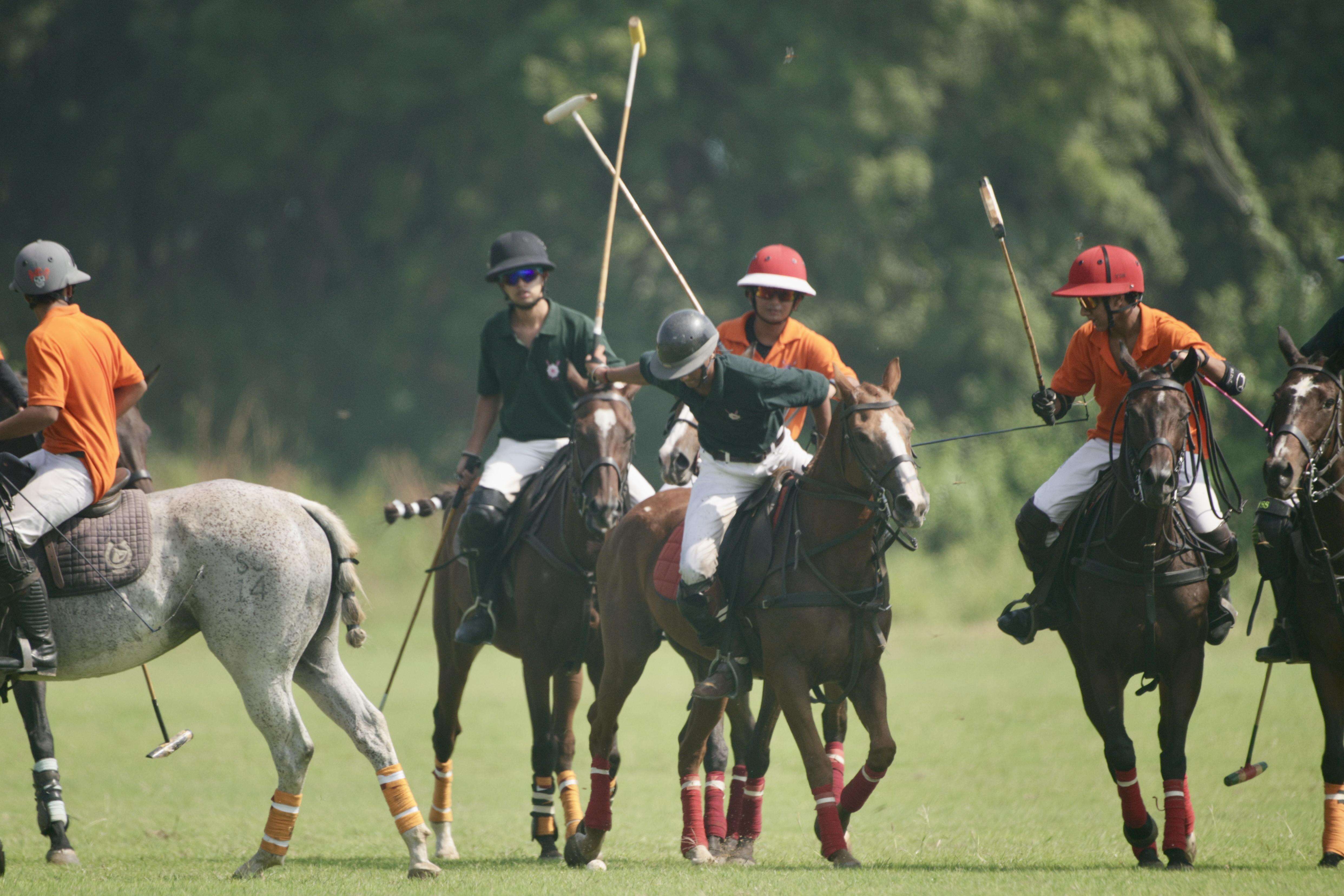 polo-2.JPG