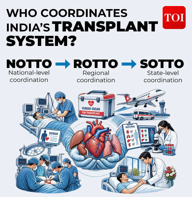 India's organ transplant system works through a three-tier hierarchical network.