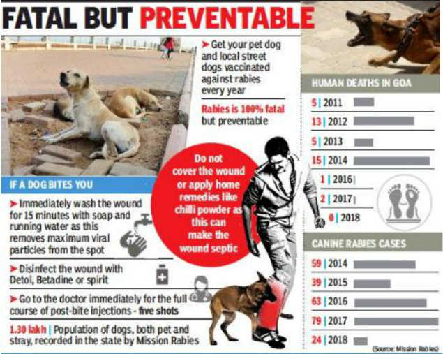 Voluntary group on mission to rid Goa of rabies by 2025 | Goa News