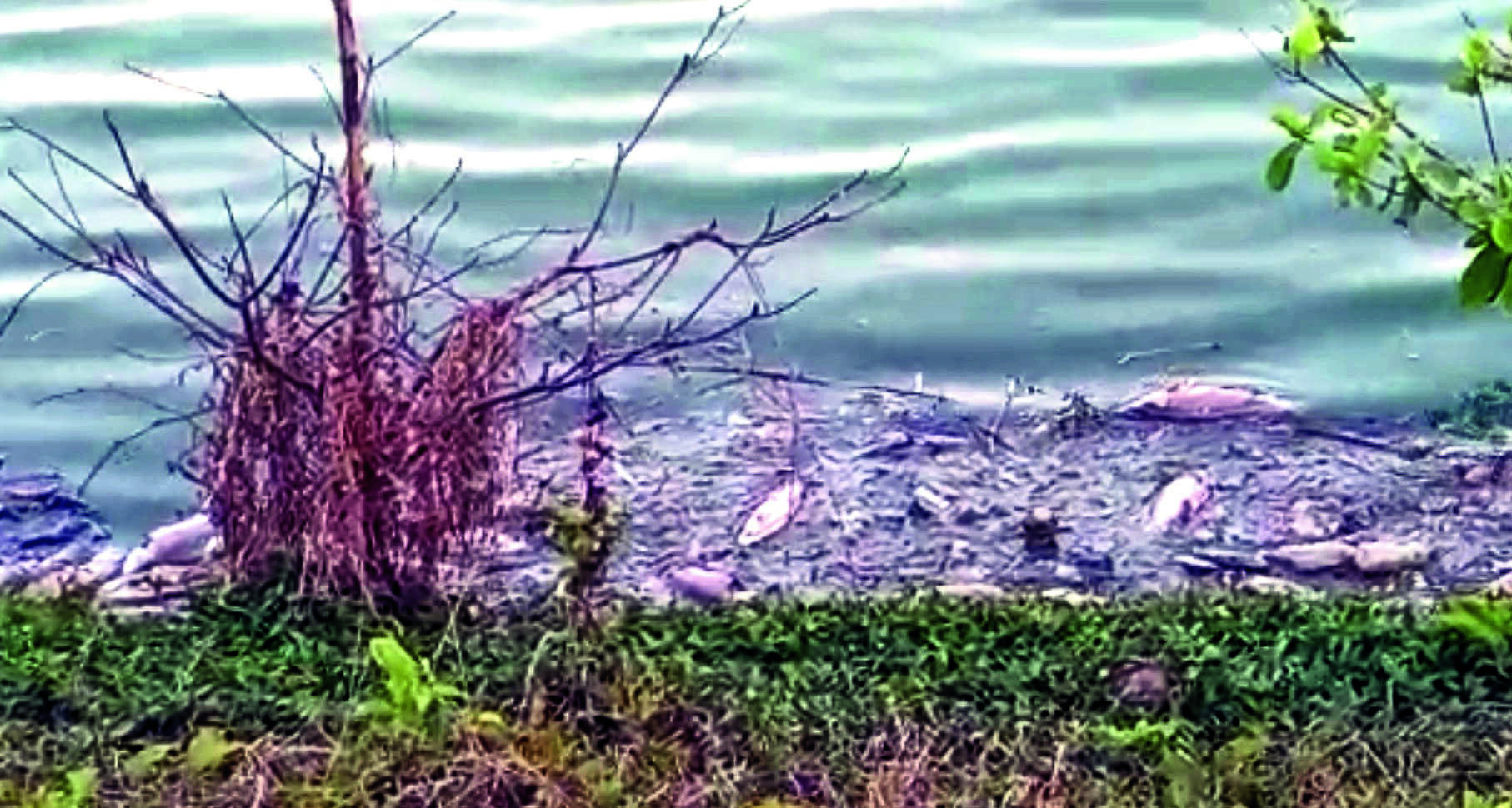Karnataka High Court Warns Government on Hebbal Lake Impact Before ...