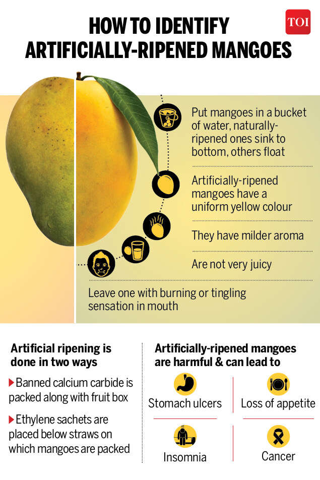 Is your mango safe to eat? India News Times of India