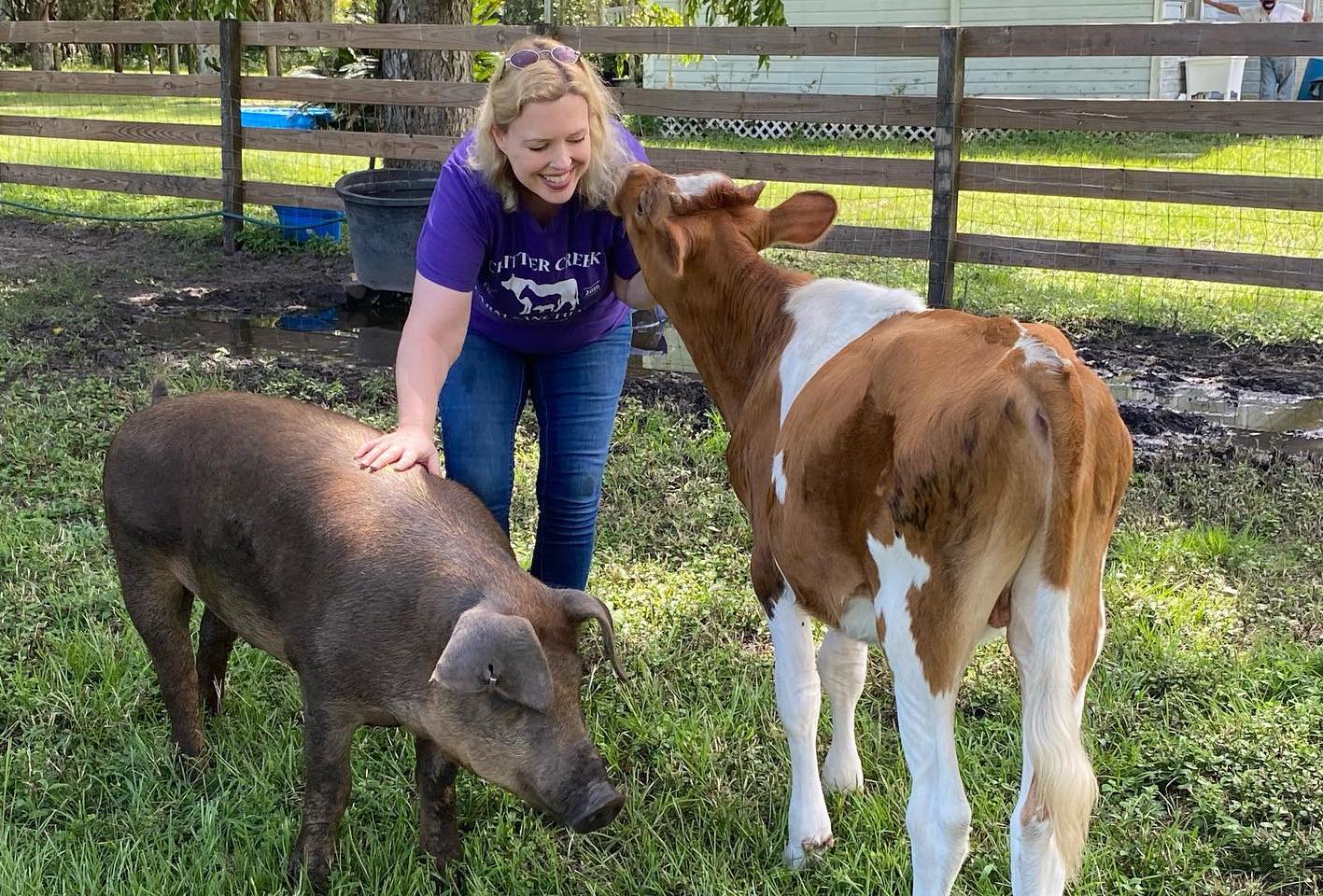 ​<strong>Critter Creek Farm Sanctuary rescue</strong>​
