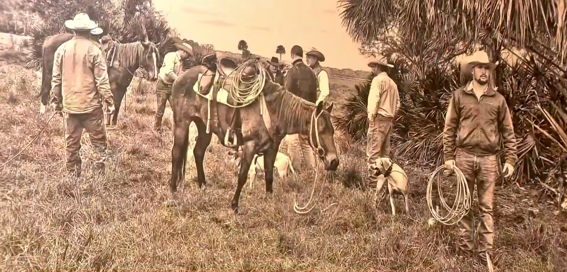 Four generations have worked the land, and a fifth is growing up there.