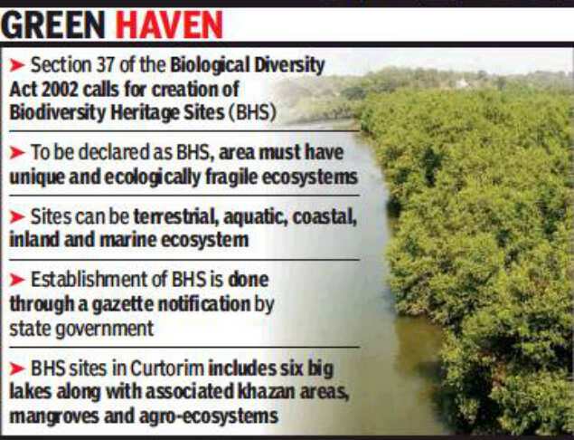Goa State Biodiversity Board Ray of hope for Curtorim’s flora, fauna