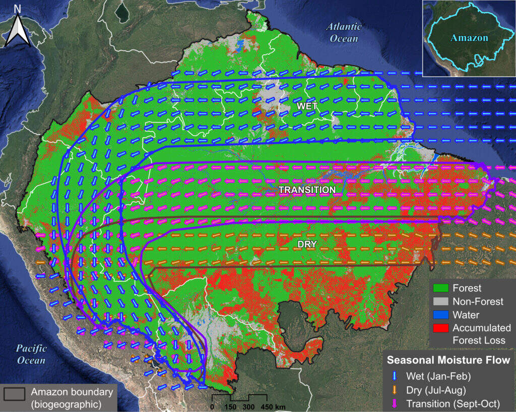 Amazon forest loss in flying rivers pathways