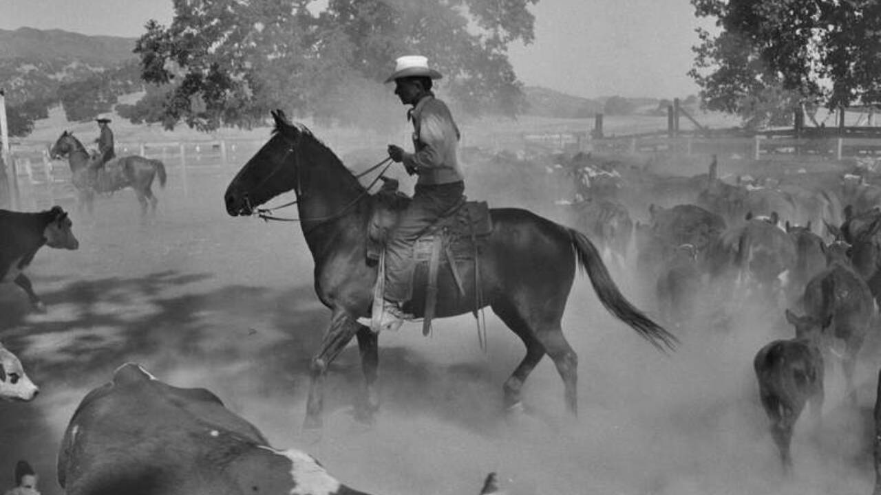The photographs came to be known as Death of a Valley. Life never published the full project but excerpts were published in the magazine Aperture in 1960.