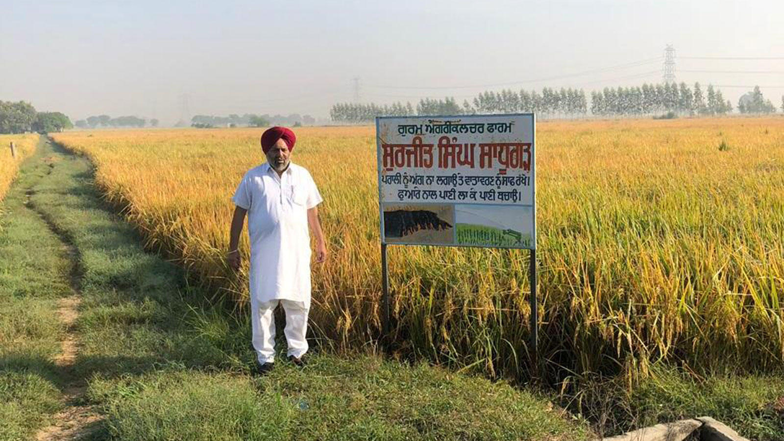 Eco-friendly farmers in 'model' Punjab village don't burn crop. This is  what they're doing instead - Times of India