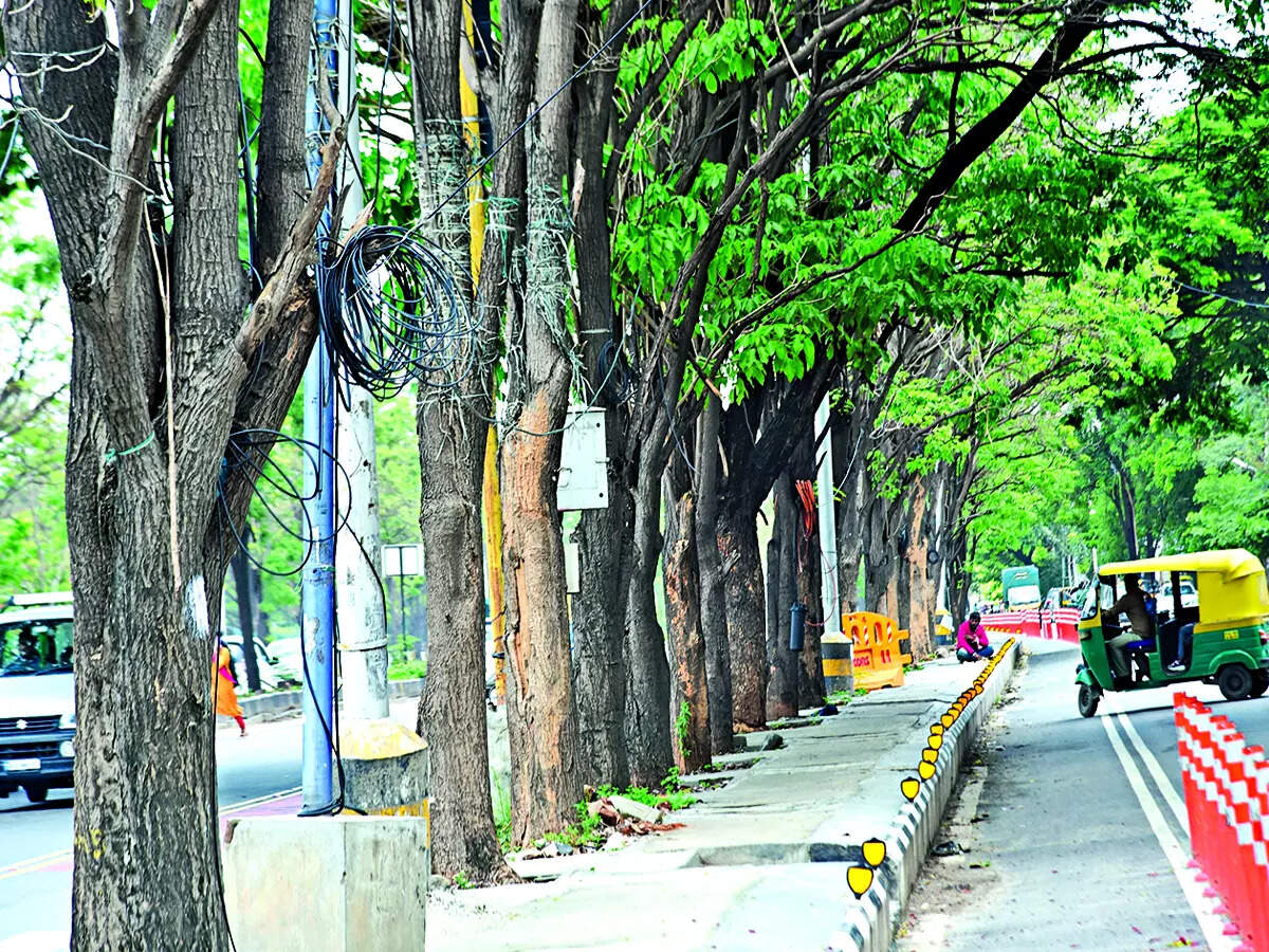 Axing trees? But the numbers don’t match!