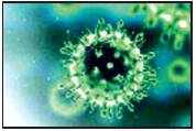 covid-19: Mouthwash can kill Covid-19 virus in 30 seconds: Study - Vimarsana News