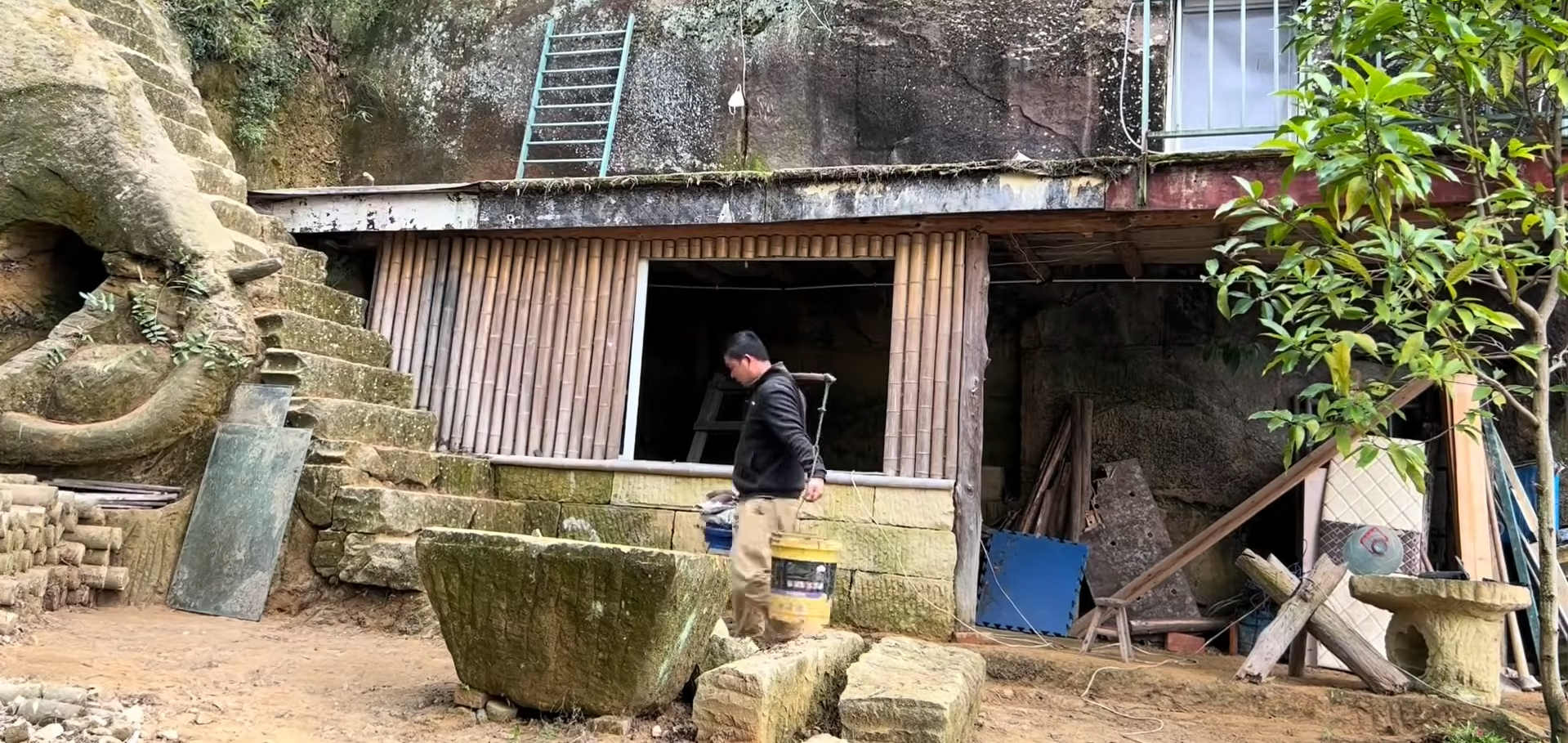 Nature nearly reclaimed the home: After a two-year absence, roots, vines, mold and humidity damaged parts of the property.