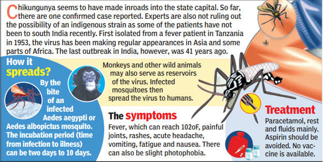 Dengue, chikungunya cases see no let-up, even in winter | Bhopal News ...