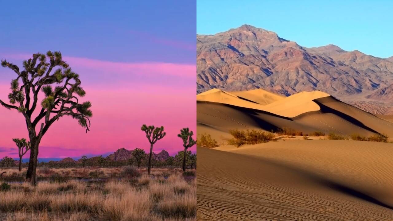 Joshua trees national park and death valley national park<br>