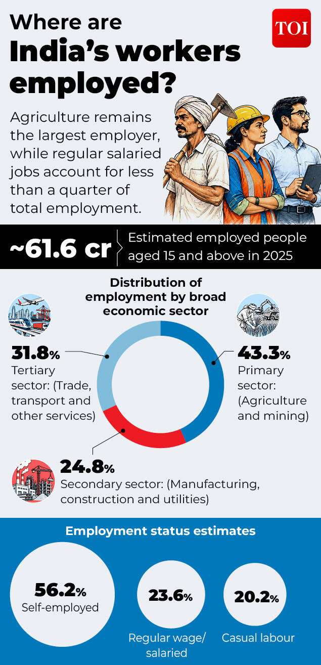 Where are India's workers employed_