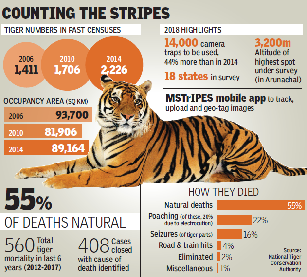 tiger census 2018: Nationwide tiger census kicks off with more cameras