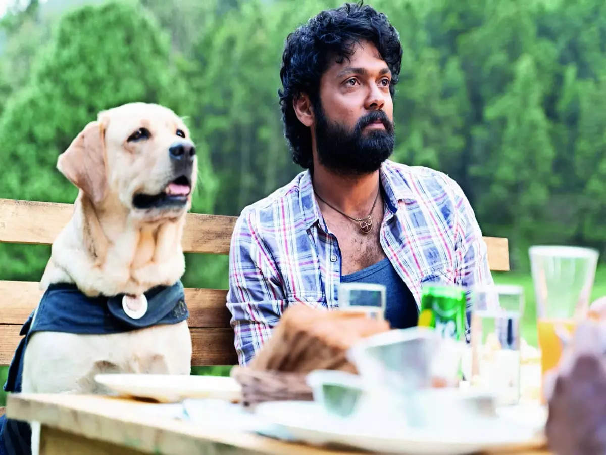 charlie: Charlie 777 movie review: A touching tale of human-animal  friendship