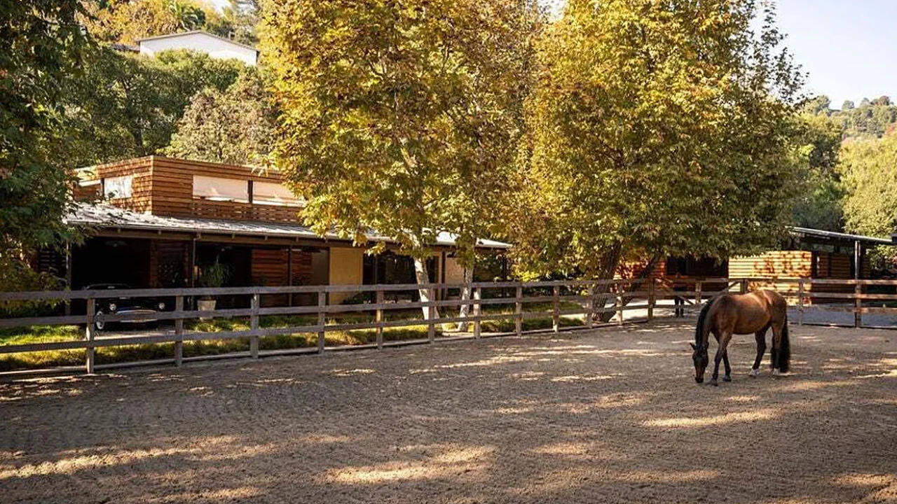 The ranch