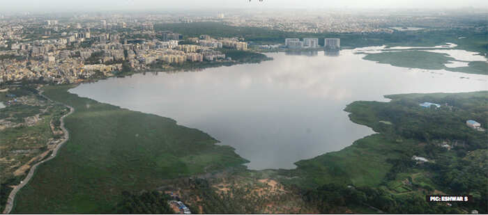 Bellandur Lake