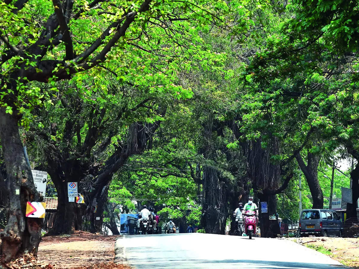 kanakapura-realty-boom-at-kanakapura-road