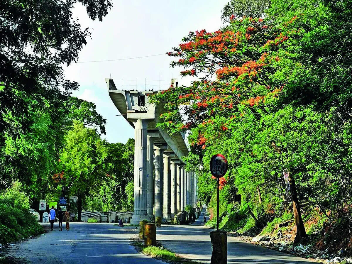 Metro phase 3 stalls over tree clearance delay