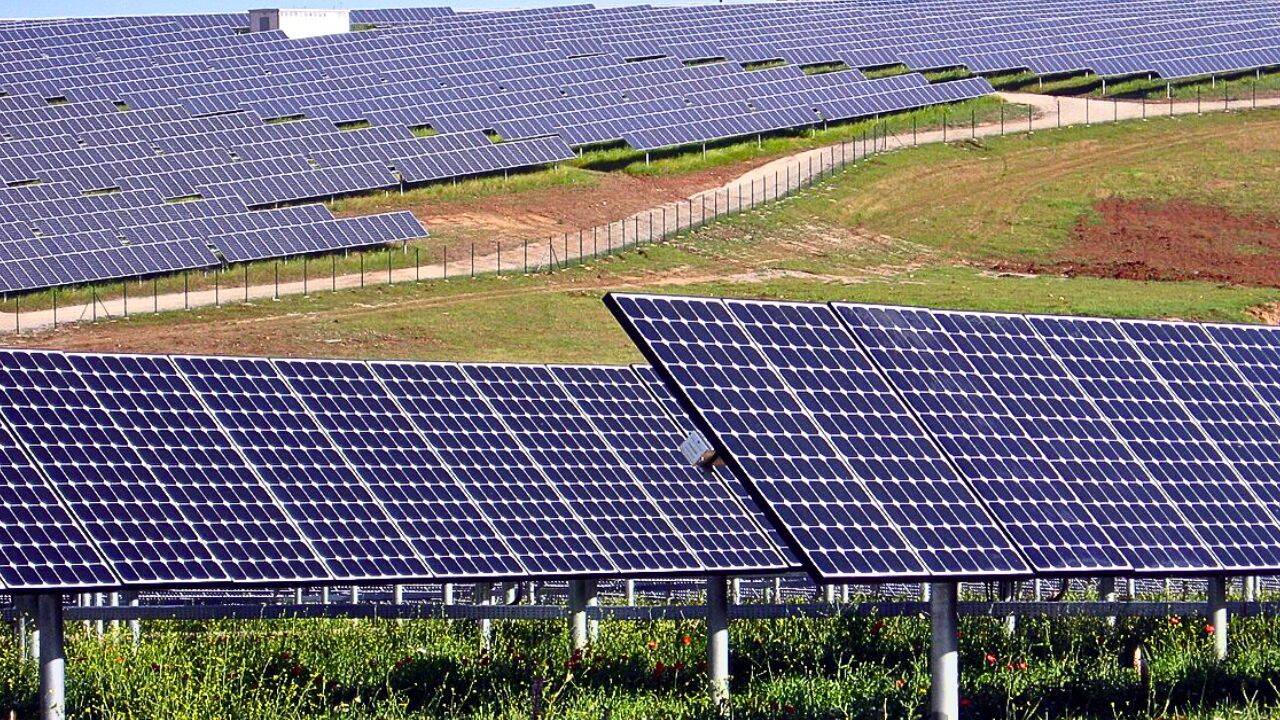 How the Belgian quarry project supports both solar power and sheep farming<br>