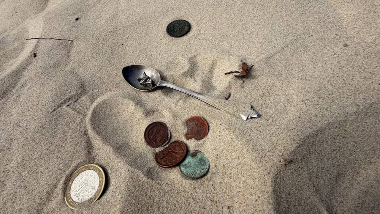 Metal detectorist stumbles on a 140-year-old Zanzibar coin<br>