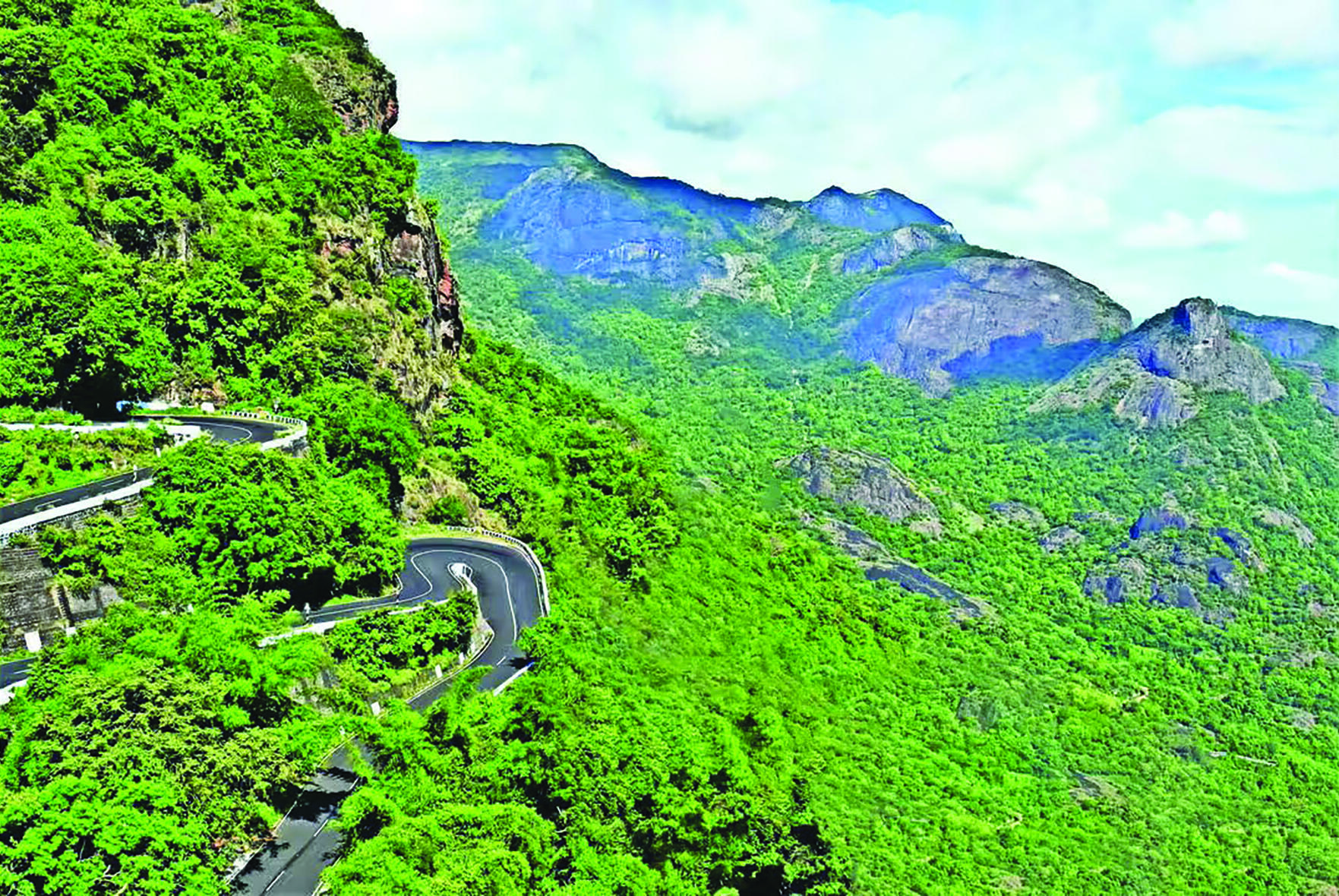 Karnataka Biodiversity Board Receives Rs 21.34 Lakh for Conservation Amidst Calls to Revive Biodiversity Committees