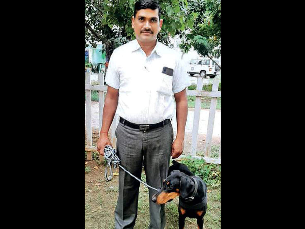 18-month-old Jawa with Haresh Mohaniya, her handler