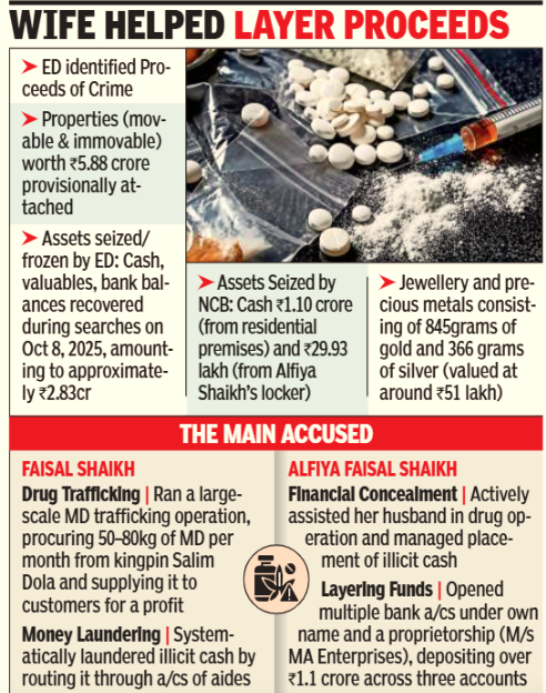 The Enforcement Directorate alleges they laundered approximately Rs 10.62 crore through illicit activities related to mephedrone.