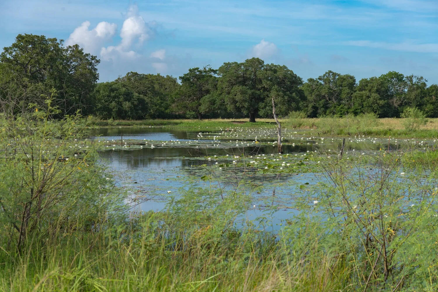 Martinek Farm’s 470 acres are now protected for farmland, wildlife, open space and future generations.