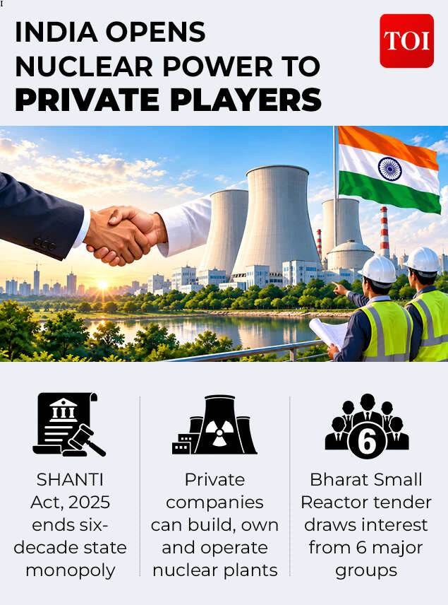 India's private nuclear energy push