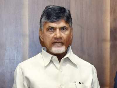 Andhra Pradesh CM N Chandrababu Naidu continues to be poorer than three-year-old grandson