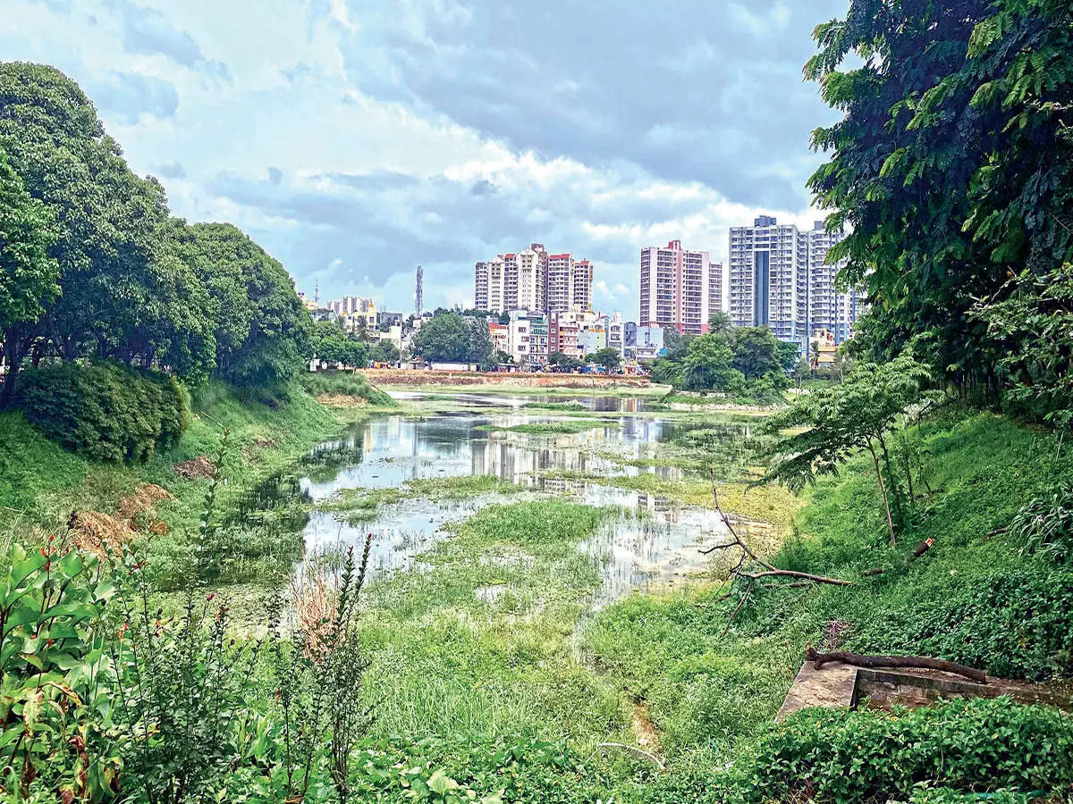 Bengaluru lakes may finally breathe easy