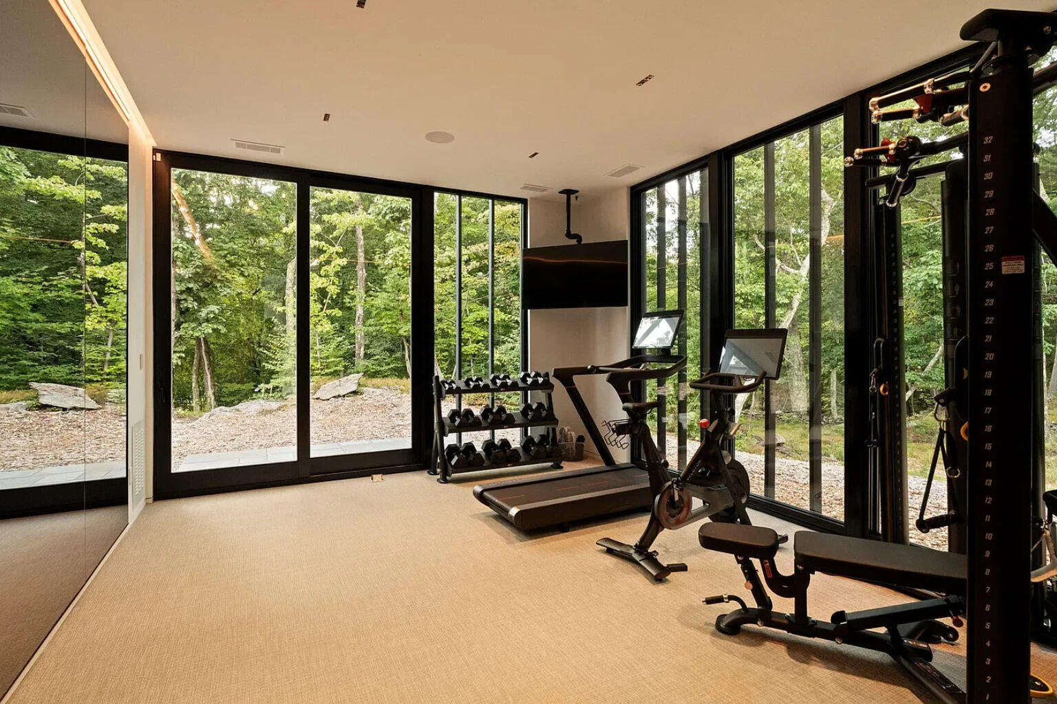 The gym