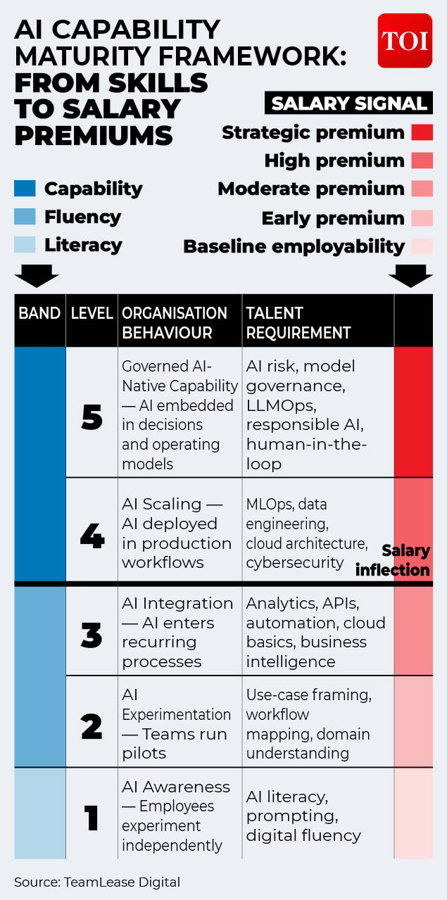 AI capability maturity framework