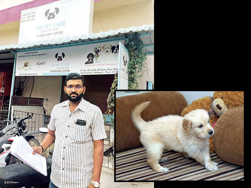 Vet Care Pet Clinic Pune Maharashtra Best Vets Veterinary Clinics In