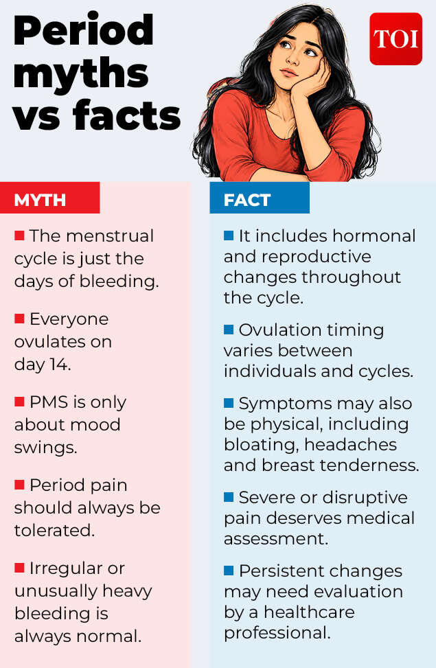 menstrual cycle-Gfx4 (1)