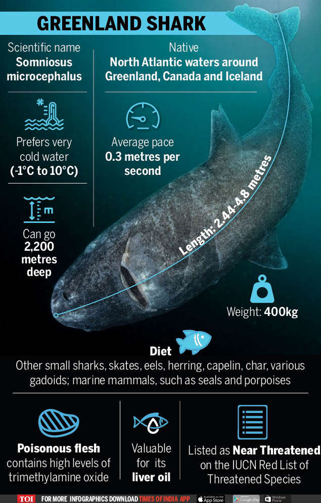 Infographic: World’s longest lived vertebrate was alive when the Taj