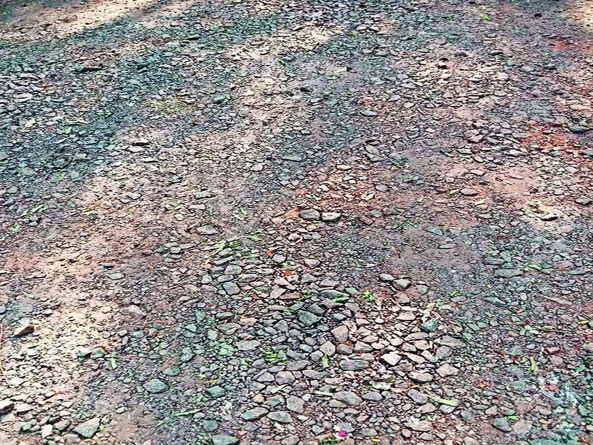 Germ Ridden Pit Less road, more of a gigantic pit