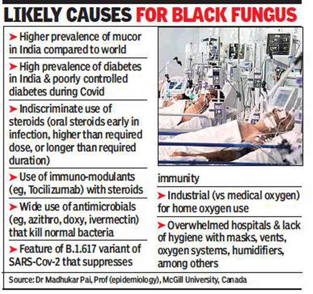 Black Fungus In India Zinc Overuse Driving Mucor Epidemic Within Pandemic Doctors Want Study Mumbai News Times Of India