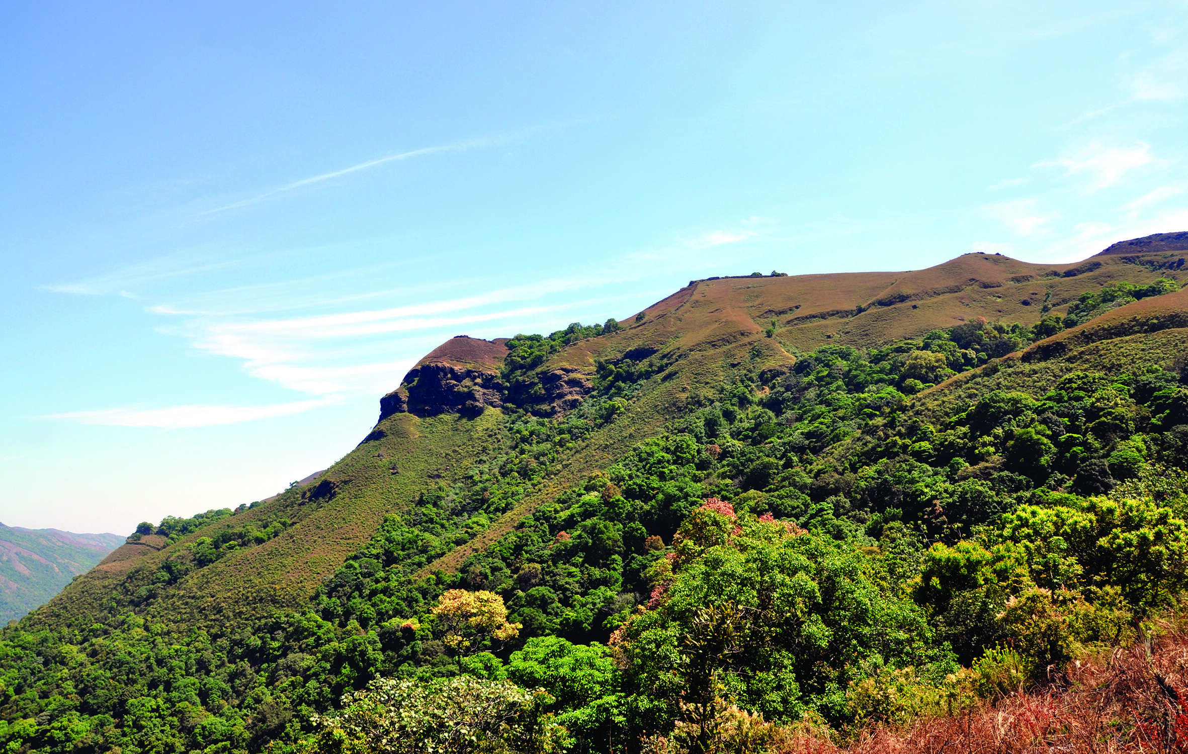 Karnataka Ranks Fourth in National Biodiversity Funding: A Call for Conservation Awareness