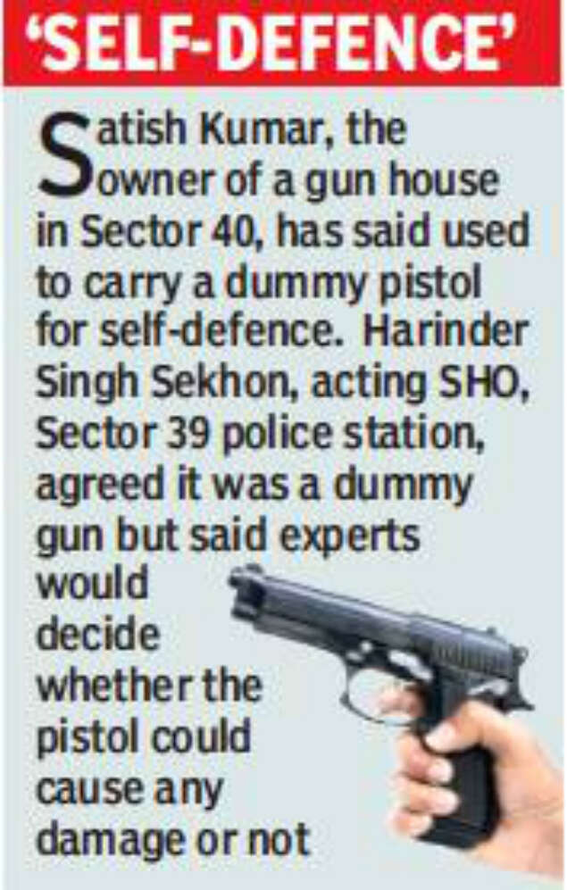 Chandigarh Gun house owner points dummy pistol at man, held